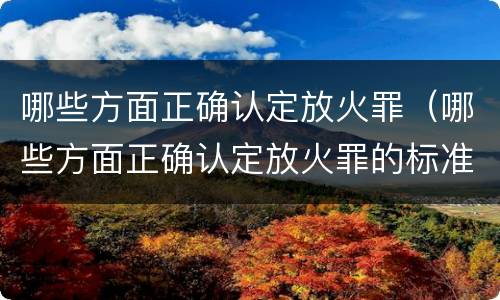 哪些方面正确认定放火罪（哪些方面正确认定放火罪的标准）