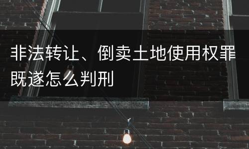 非法转让、倒卖土地使用权罪既遂怎么判刑