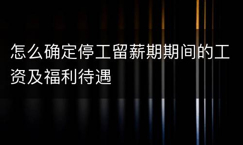 怎么确定停工留薪期期间的工资及福利待遇