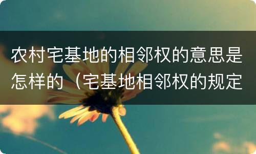 农村宅基地的相邻权的意思是怎样的（宅基地相邻权的规定）