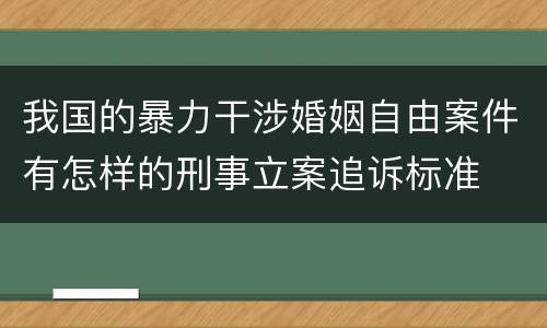 我国的暴力干涉婚姻自由案件有怎样的刑事立案追诉标准