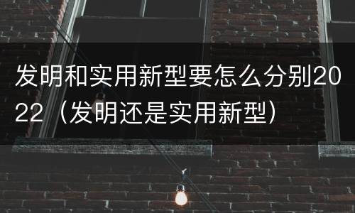发明和实用新型要怎么分别2022（发明还是实用新型）