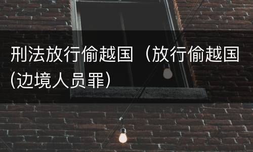刑法放行偷越国（放行偷越国(边境人员罪）