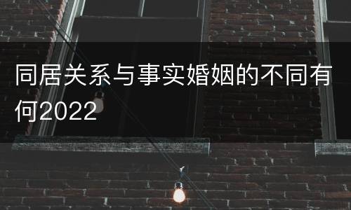 同居关系与事实婚姻的不同有何2022