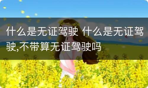 什么是无证驾驶 什么是无证驾驶,不带算无证驾驶吗