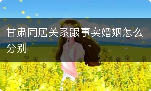 甘肃同居关系跟事实婚姻怎么分别