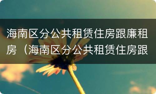海南区分公共租赁住房跟廉租房（海南区分公共租赁住房跟廉租房吗）