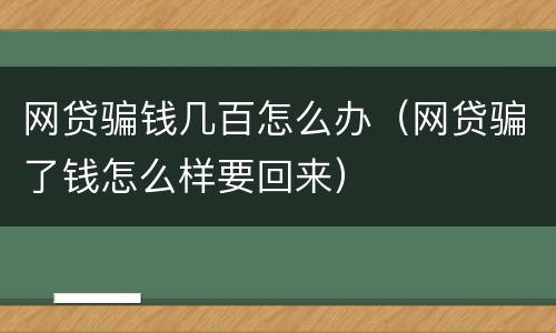 网贷骗钱几百怎么办（网贷骗了钱怎么样要回来）
