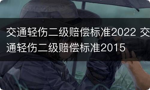 交通轻伤二级赔偿标准2022 交通轻伤二级赔偿标准2015