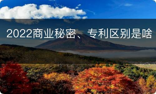 2022商业秘密、专利区别是啥