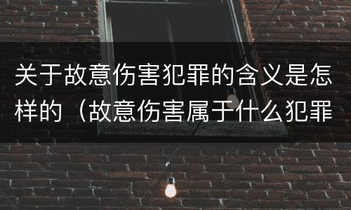 关于故意伤害犯罪的含义是怎样的（故意伤害属于什么犯罪）