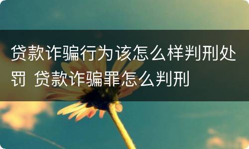 贷款诈骗行为该怎么样判刑处罚 贷款诈骗罪怎么判刑