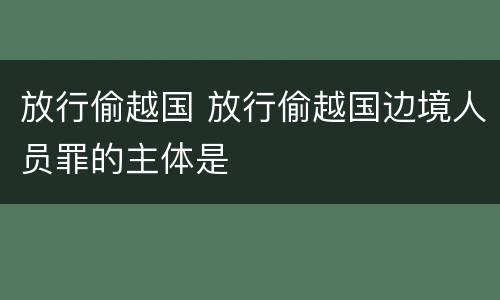 放行偷越国 放行偷越国边境人员罪的主体是