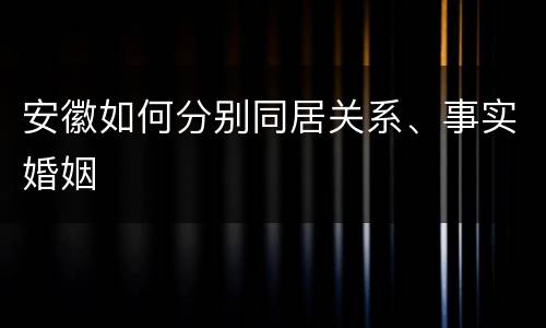 安徽如何分别同居关系、事实婚姻