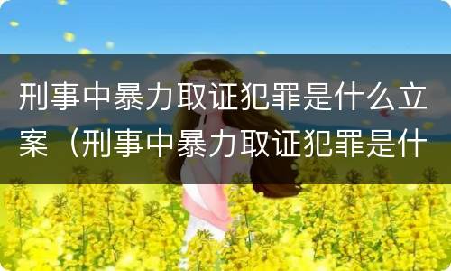 刑事中暴力取证犯罪是什么立案（刑事中暴力取证犯罪是什么立案的）