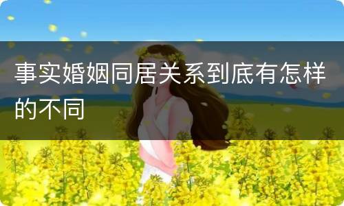 事实婚姻同居关系到底有怎样的不同