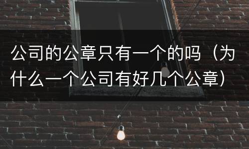 公司的公章只有一个的吗（为什么一个公司有好几个公章）