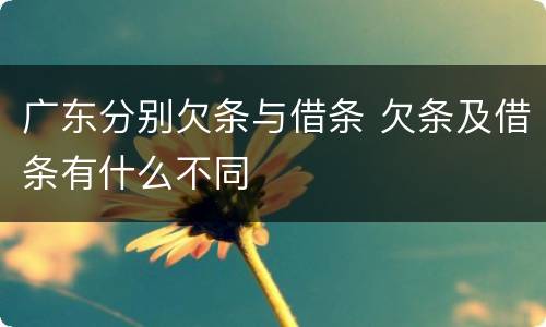 广东分别欠条与借条 欠条及借条有什么不同