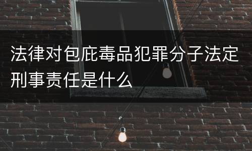 法律对包庇毒品犯罪分子法定刑事责任是什么