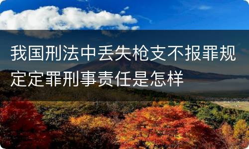 我国刑法中丢失枪支不报罪规定定罪刑事责任是怎样