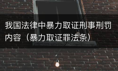 我国法律中暴力取证刑事刑罚内容（暴力取证罪法条）