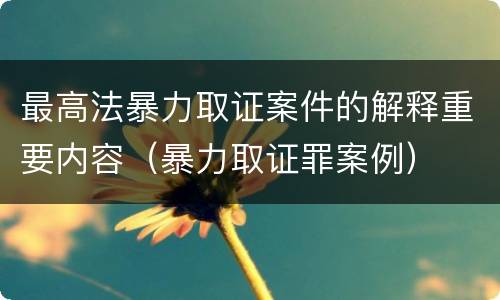 最高法暴力取证案件的解释重要内容（暴力取证罪案例）