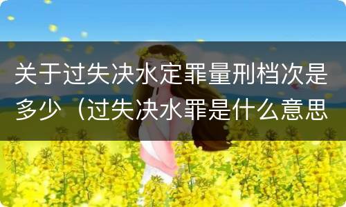关于过失决水定罪量刑档次是多少（过失决水罪是什么意思）