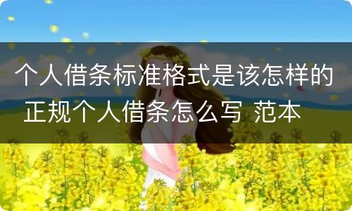 个人借条标准格式是该怎样的 正规个人借条怎么写 范本