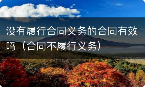 没有履行合同义务的合同有效吗（合同不履行义务）