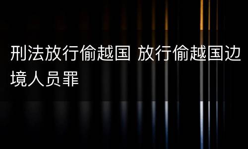 刑法放行偷越国 放行偷越国边境人员罪