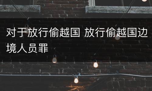 对于放行偷越国 放行偷越国边境人员罪