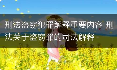刑法盗窃犯罪解释重要内容 刑法关于盗窃罪的司法解释