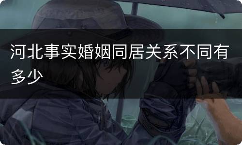 河北事实婚姻同居关系不同有多少
