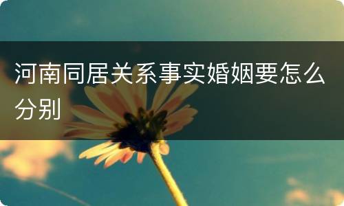 河南同居关系事实婚姻要怎么分别