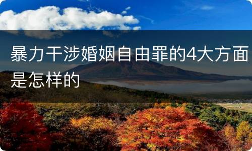 暴力干涉婚姻自由罪的4大方面是怎样的