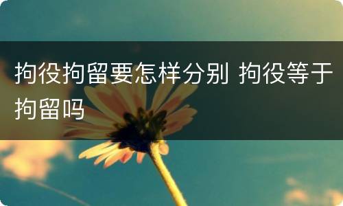 拘役拘留要怎样分别 拘役等于拘留吗