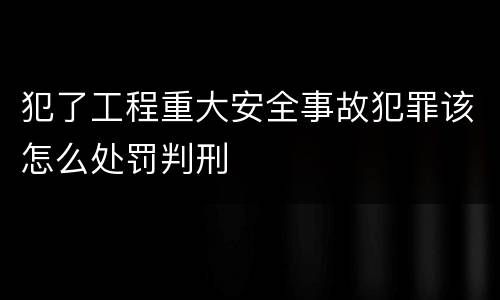 犯了工程重大安全事故犯罪该怎么处罚判刑