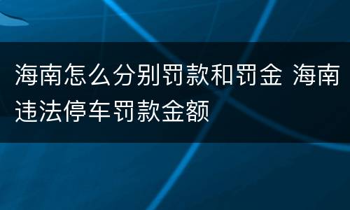 海南怎么分别罚款和罚金 海南违法停车罚款金额