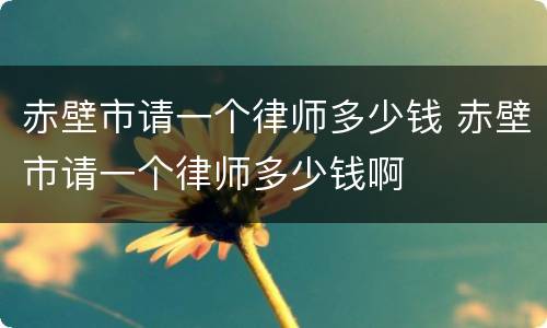 赤壁市请一个律师多少钱 赤壁市请一个律师多少钱啊