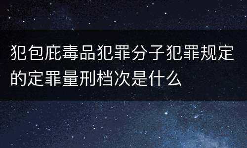 犯包庇毒品犯罪分子犯罪规定的定罪量刑档次是什么