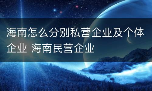 海南怎么分别私营企业及个体企业 海南民营企业