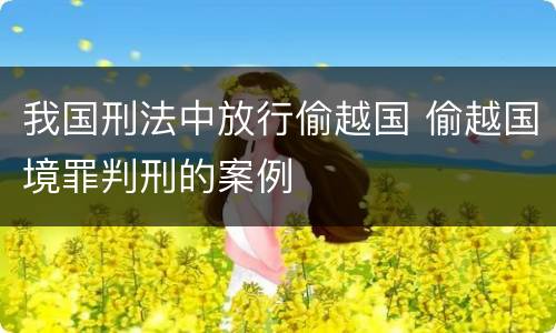 我国刑法中放行偷越国 偷越国境罪判刑的案例