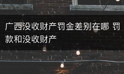 广西没收财产罚金差别在哪 罚款和没收财产