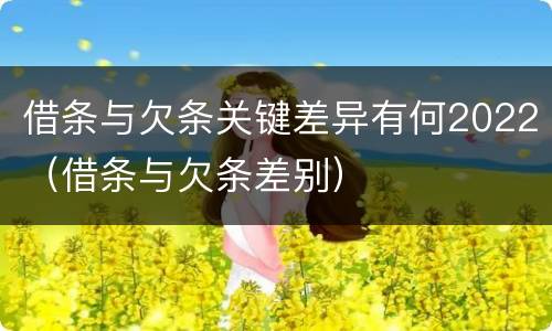 借条与欠条关键差异有何2022（借条与欠条差别）