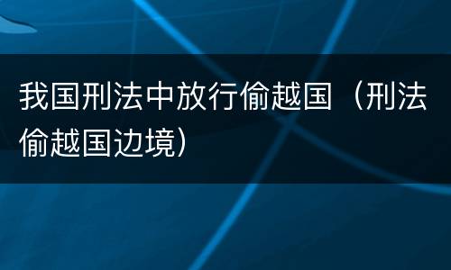 我国刑法中放行偷越国（刑法偷越国边境）
