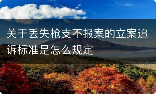 关于丢失枪支不报案的立案追诉标准是怎么规定