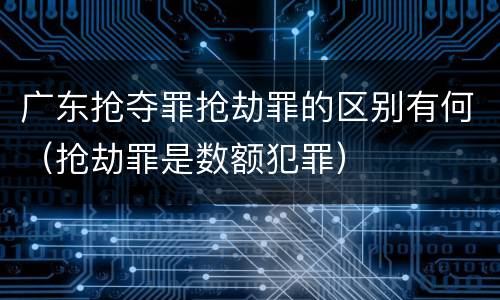 广东抢夺罪抢劫罪的区别有何（抢劫罪是数额犯罪）