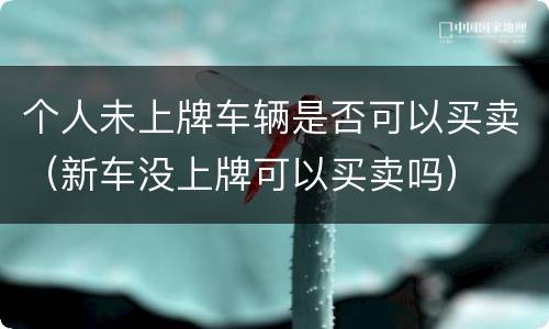 个人未上牌车辆是否可以买卖（新车没上牌可以买卖吗）
