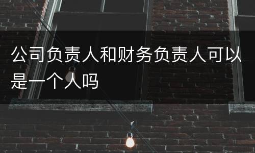 公司负责人和财务负责人可以是一个人吗