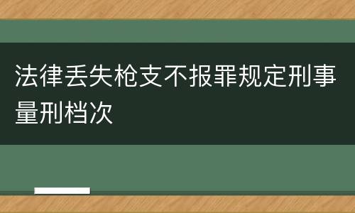法律丢失枪支不报罪规定刑事量刑档次